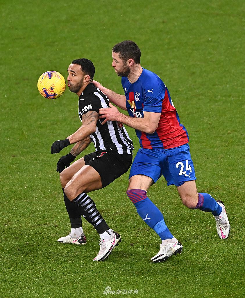 يلا يلا يلا بينارحلة في عالم الإثارة والحماس