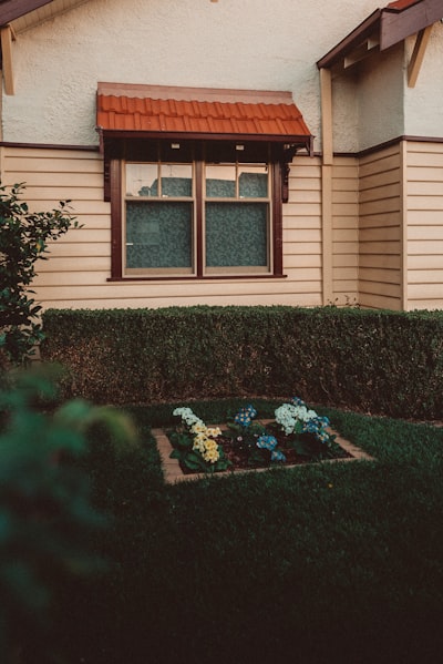 مباراة البرازيل اليوم مباشر اون لاينشاهد البث الحي لمباريات السامبا