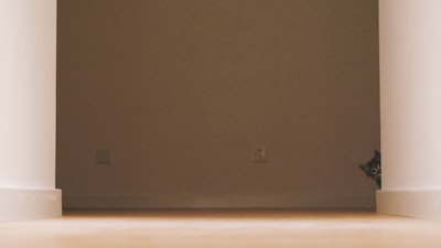 لن أعيش في جلباب أبي كامل