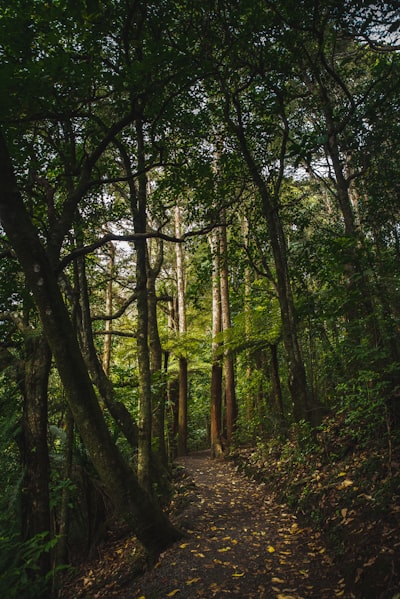 ماتش ليفربول مباشر يلا كورةمتابعة حية لأهم مباريات الريدز